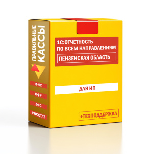 Отчетность_ИП_Пензенская область